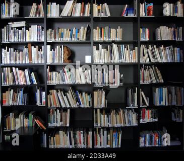 small library with a lot of books as nice background Stock Photo