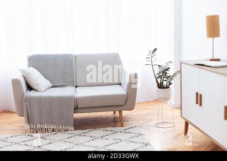 Cozy Minimalistic Living Room Interior Background With Comfortable Sofa Stock Photo