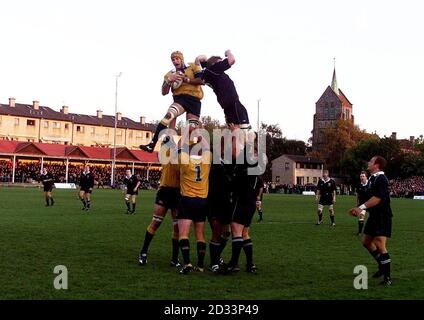 RUGBY UNION AUSTRALIA'S MARK CONNORS Stock Photo - Alamy