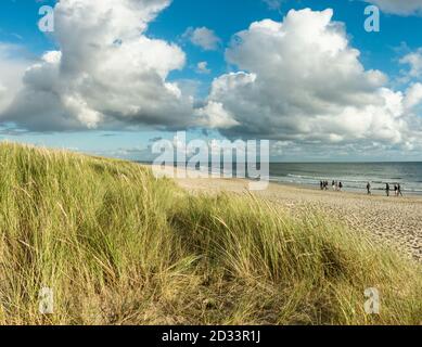 Beach sand with group of people walking at coastline. Blue sky and dramatic clouds at waterfront in soft evening sunset light. Hvidbjerg Strand Stock Photo