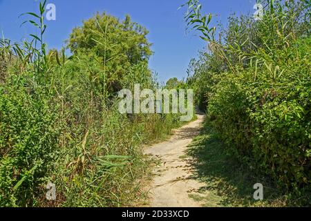 Tel Afek, is an archaeological site located in the coastal hinterland of the Ein Afek Nature Reserve, east of Kiryat Bialik, Israel. It is also known Stock Photo