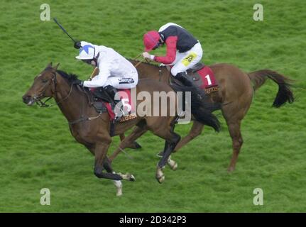 Seebald with jockey Tony McCoy wins ahead of Cenkos with jockey Ruby Walsh (right) in The Queen Elizabeth The Queen Mother Celebration Steeple Chase at Sandown. Stock Photo