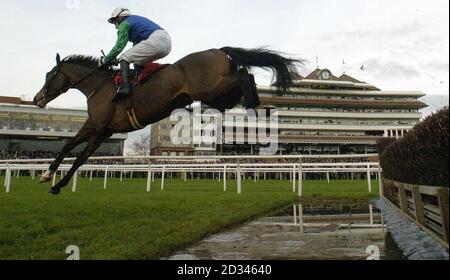 Vodka Bleu, ridden by Timmy Murphy clears the water jump and goes on to win the Stan James Fulke Walwyn Novices' Steeple Chase at Newbury racecourse. Stock Photo