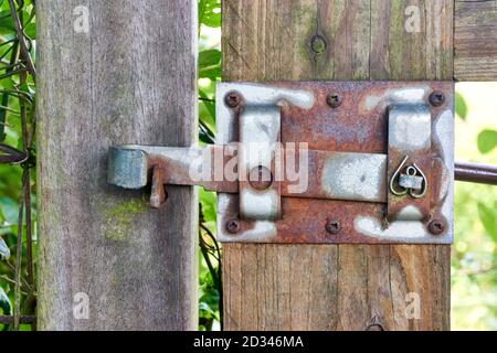 Old rusty metal gate latch on a weathered wooden garden gate in closed position. Stock Photo