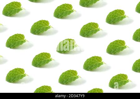 Minimal composition pattern background of green mint leaves on white isolated background. Pattern made of mint leaf. Stock Photo