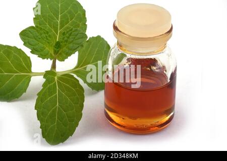 Organic essential mint oil in a small glass jar with green mint leaves,Health and beauty,still life spa concept.Copy space background Stock Photo