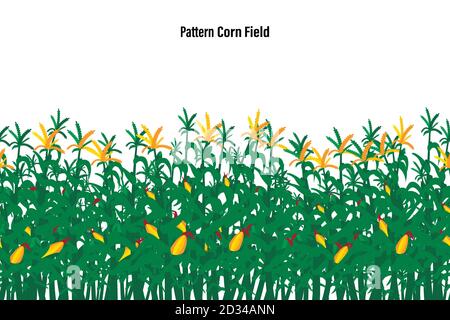 Field of corn on a white background isolated. Pattern Vector illustration Stock Vector