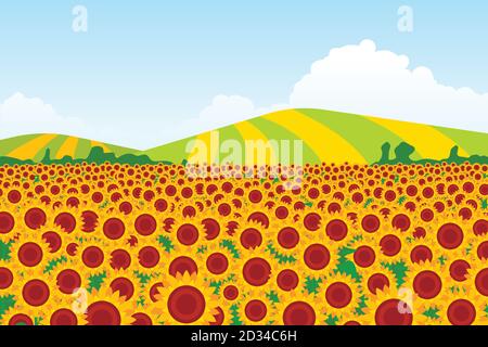 Illustration of a sunflower field with background fields on a background. Vector illustration Stock Vector