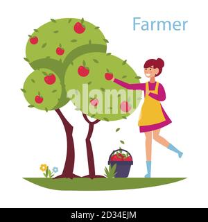 Reaping the harvest - flat design style illustration. Composition with a cute girl who collects apples from the tree. Efficient and successful farming Stock Vector