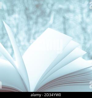 White new pages clean open book amid winter forest Stock Photo