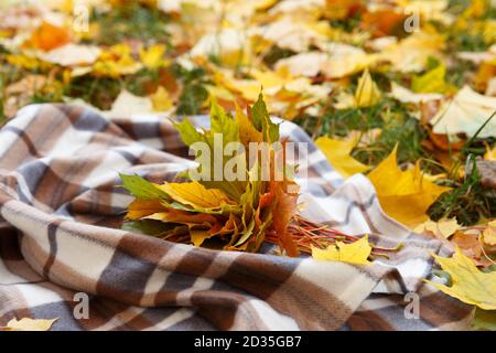 Autumn bouquet of maple leaves lying on the bedspread Stock Photo