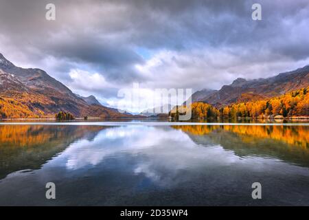 Atumn lake Sils (Silsersee) in Swiss Alps mountains. Colorful forest with orange larch. Switzerland, Maloja region, Upper Engadine. Landscape photography Stock Photo