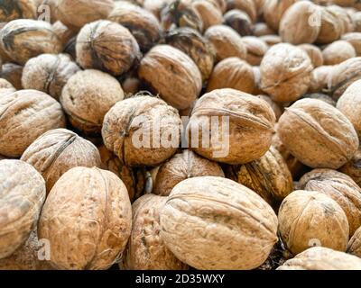 Walnuts opened the shell and the collected walnuts are kept in bulk and broken walnut which is composition on the table Shell nut. Stock Photo
