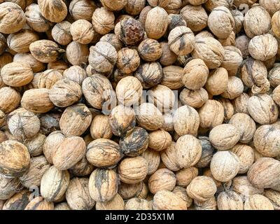 Walnuts opened the shell and the collected walnuts are kept in bulk and broken walnut which is composition on the table Shell nut. Stock Photo