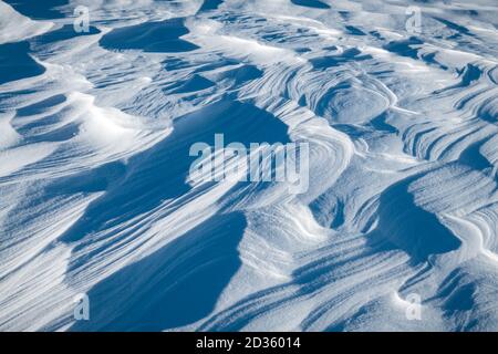 Snow texture on the field on a sunny day. Nature winter, holiday and Christmas background