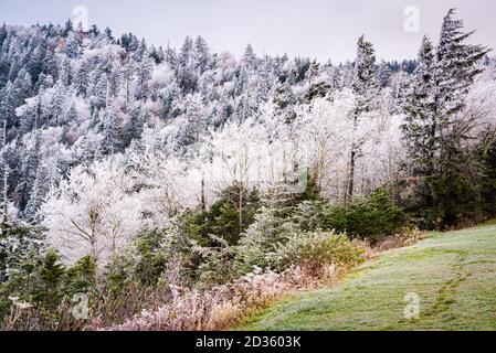 Great Smoky Mountains National Park, USA in early winter frost. Stock Photo