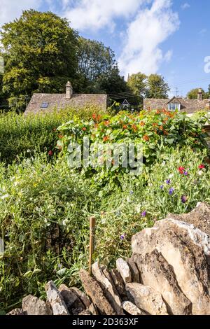 A productive cottage garden in the Cotswold village of Bisley, Gloucestershire UK Stock Photo