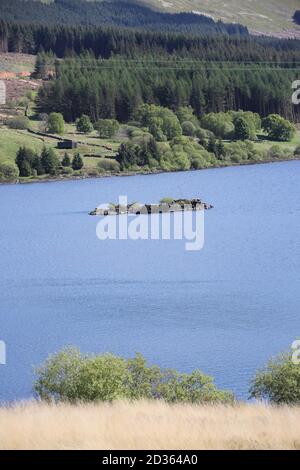Loch Doon Castle, Loch Doon, Ayrshire, Dumfries & Galloway, Scotland UK.Castle was dismantled & rebuilt on the side of the loch due to a hydro power Stock Photo