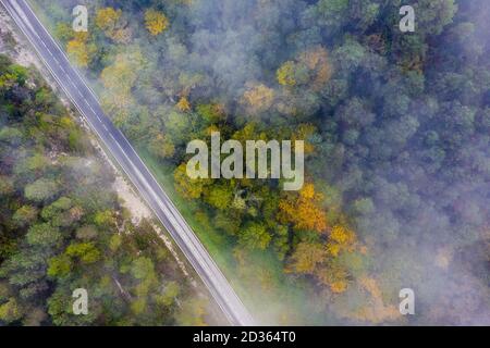 straight country road in the colored autumn forest with fog, aerial top view, concept of emission reduction and ecology Stock Photo