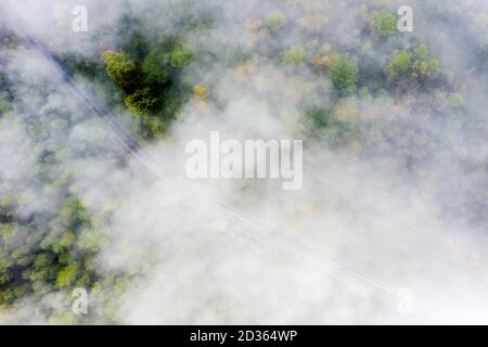 country road in the colored autumn forest with fog, aerial top view between clouds, concept of emission reduction and ecology Stock Photo