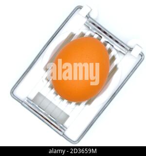 Egg in the device for cutting. Device for cutting food. White background, isolate. Stock Photo
