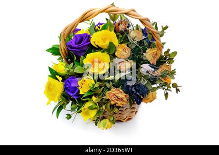 Bouquet of wilted and fresh flowers. Isolate on a white background in half of dry and fresh roses. Half-dried bouquet of blue and yellow flowers. Tran Stock Photo