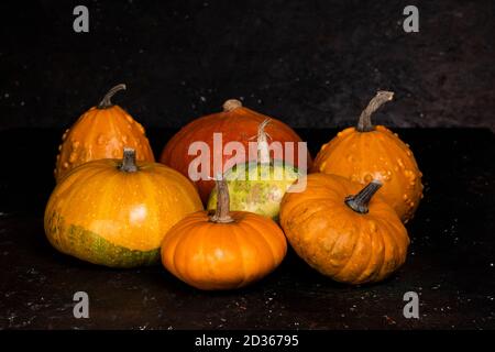 Pumpkins on rustic dark background. Composition with pumpkins. Autumn harvest concept. Stock Photo