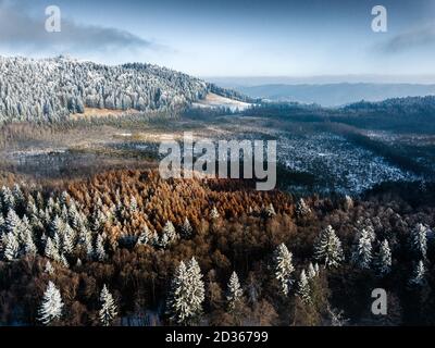 Aerial view of Mohos Peat Bog ,Nature reserve in Harghita county, Transylvania,Romania. Winter nature background with frozen trees and blue sky. Stock Photo