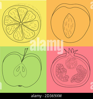 Colorful fruit set of lemon, peach and pomegranate in yellow, red, orange and green box Stock Vector