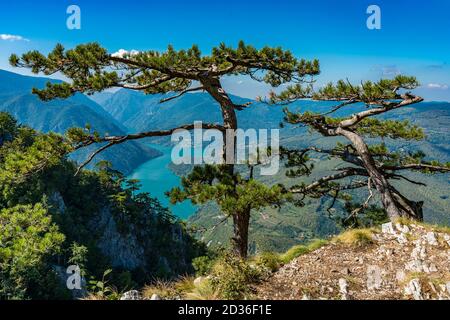 View at Perucac lake and river Drina from Tara mountain in Serbia Stock Photo