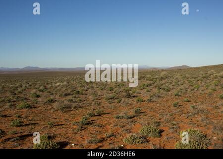 The desolate and empty plains of the Namaqua National Park, South Africa, after a poor rainy season with no flowers