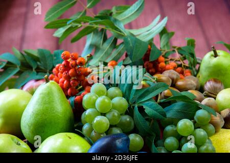 raw and organic harvest of fruits from the garden, apples, pears, grapes and hazelnus Stock Photo