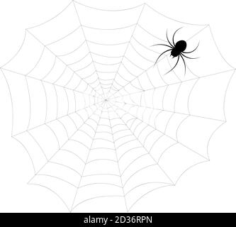 Spider and web, vector illustration black white Stock Vector