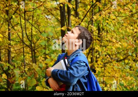 Serious teenage boy with laptop and textbooks doing homework and preparing for the exam in the park among the trees. The concept of heavy learning, a Stock Photo