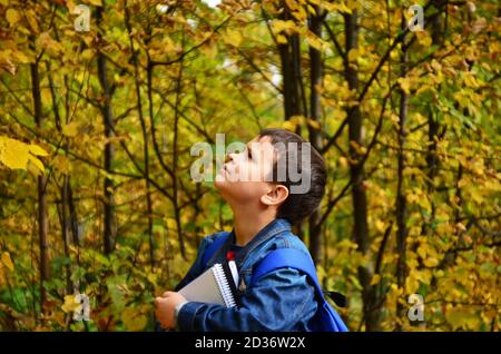 Serious teenage boy with laptop and textbooks doing homework and preparing for the exam in the park among the trees. The concept of heavy learning, a Stock Photo