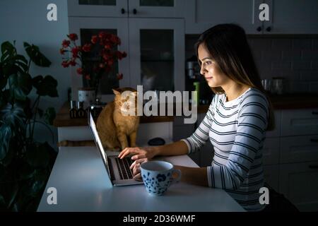 Concentrated woman working late hours with her laptop Stock Photo
