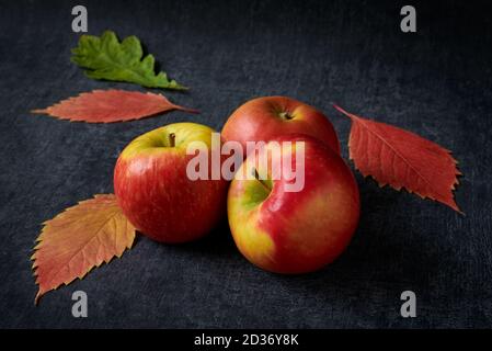 Red apples and fallen autumn leaves on dark background, shallow depth of sharpness Stock Photo