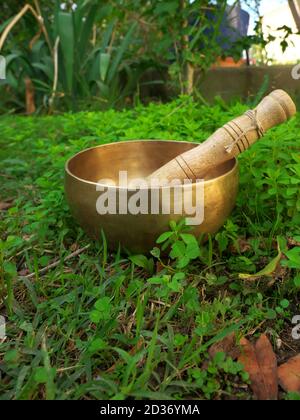 Singing bowl placed in the grass during the fall season Stock Photo