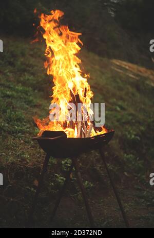 Campfire in the forest Stock Photo