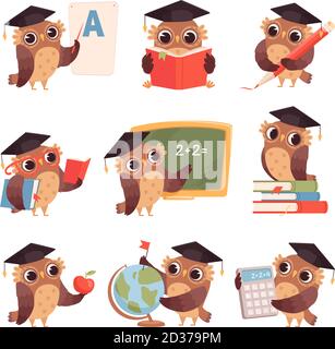 Owl school. Teacher birds characters teaching reading writing owls cartoon collection Stock Vector