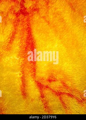 Crumpled fabric texture, cloth background.Background of textile texture. Macro.Red textile sports background. Stock Photo