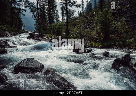 Powerful mountain river flow through forest. Beautiful alpine landscape with azure water in fast river. Frozen motion of mountain river rapids. Power Stock Photo