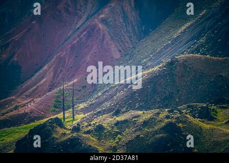 Fantasy landscape with magenta mountains. Two trees among green vegetation on slope near multicolor clay mountain wall. Colorful scenery with multi-co Stock Photo