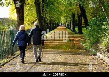 a couple holding hands walking together along a path covered with autumn leaves in Avenham Park, Preston, UK. Stock Photo