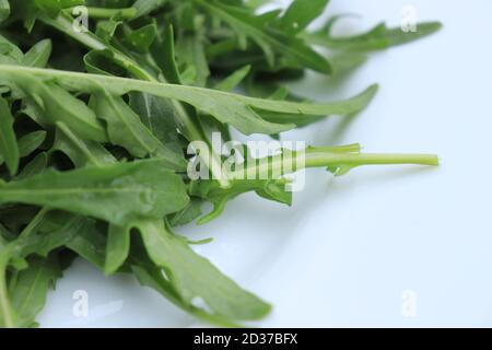 Arugula or rocket (Eruca sativa; syns. Eruca vesicaria) leaf vegetable on white Stock Photo