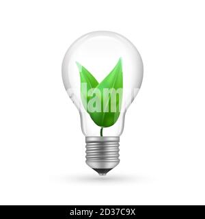 Realistic eco light bulb isolated on white background. Energy economy lamp vector illustration Stock Vector
