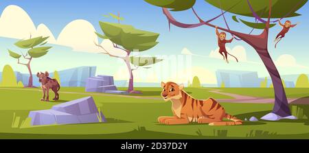 Savannah landscape with tiger, monkeys and jackal. Vector cartoon scenery of african savanna, summer natural park or tropical safari with wild animals, green trees and stones Stock Vector