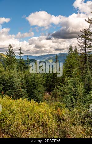 Beautiful View From Moon Pass. Wallace, Idaho. Stock Photo