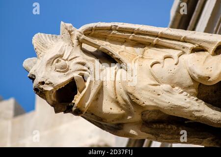 gargola en forma de dragon, Lonja de Palma de Mallorca ,  Sa Llotja, antigua sede del Colegio de Mercaderes, Monumento histórico-artístico, construida Stock Photo