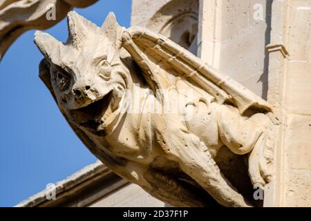 gargola en forma de dragon, Lonja de Palma de Mallorca ,  Sa Llotja, antigua sede del Colegio de Mercaderes, Monumento histórico-artístico, construida Stock Photo